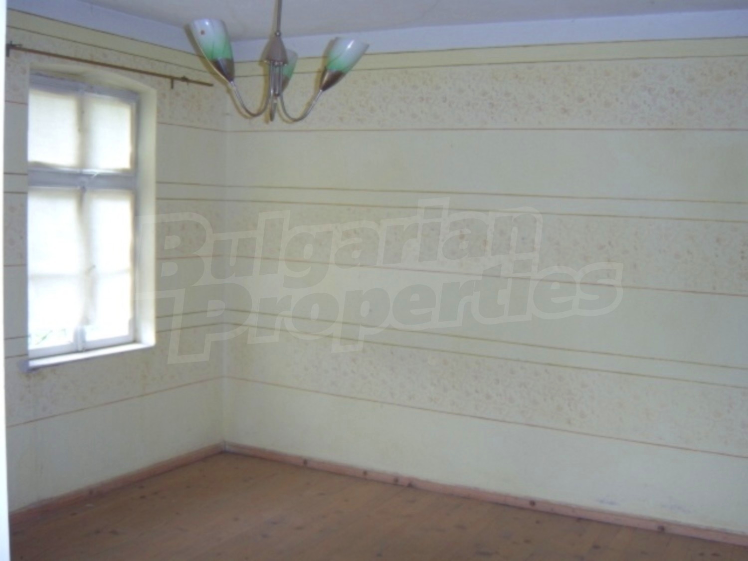 Gallery Picture 14