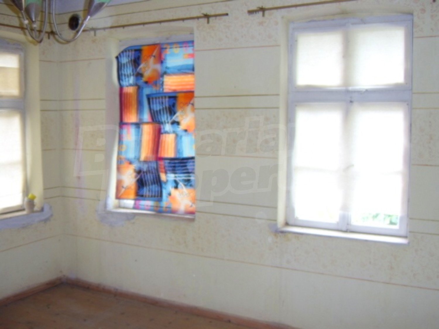 Gallery Picture 17