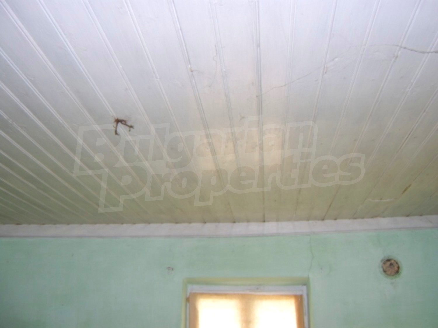 Gallery Picture 21