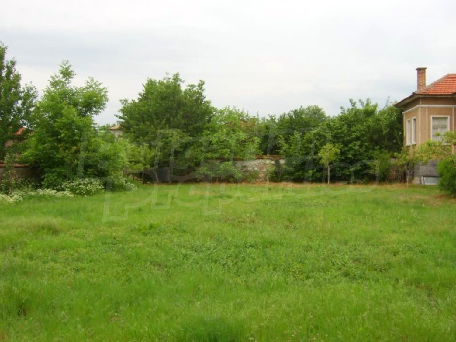 Gallery Picture 28