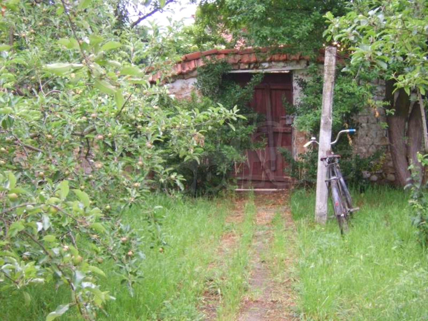 Gallery Picture 29
