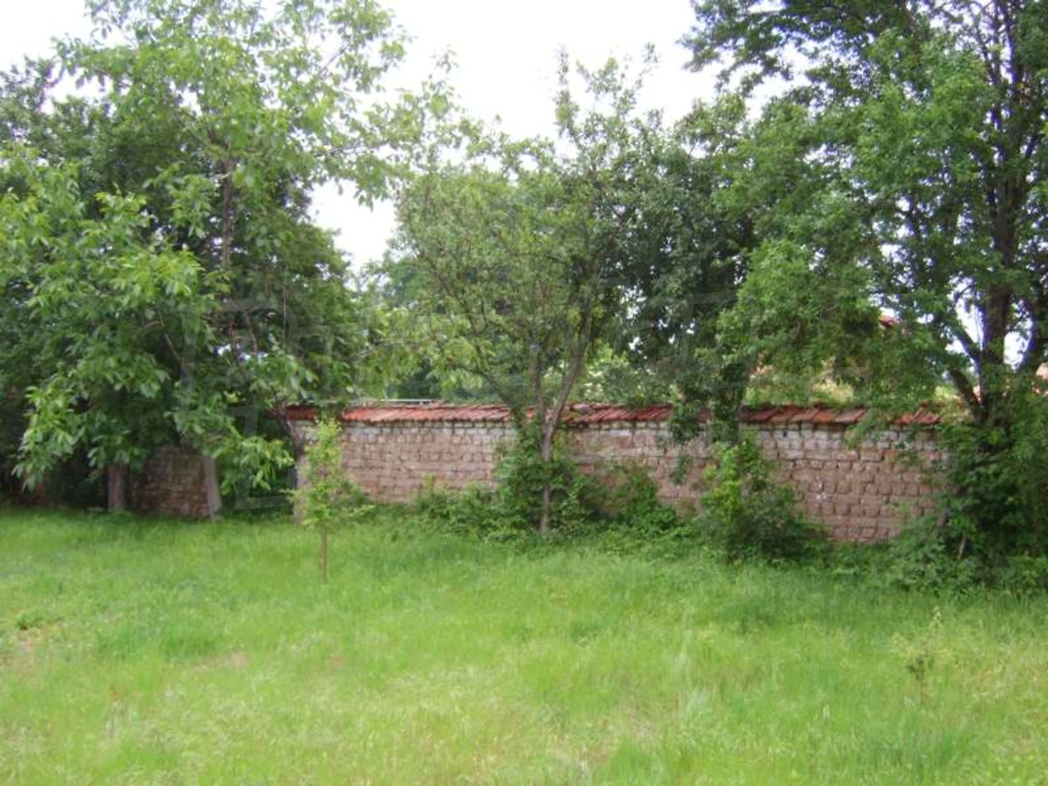 Gallery Picture 30