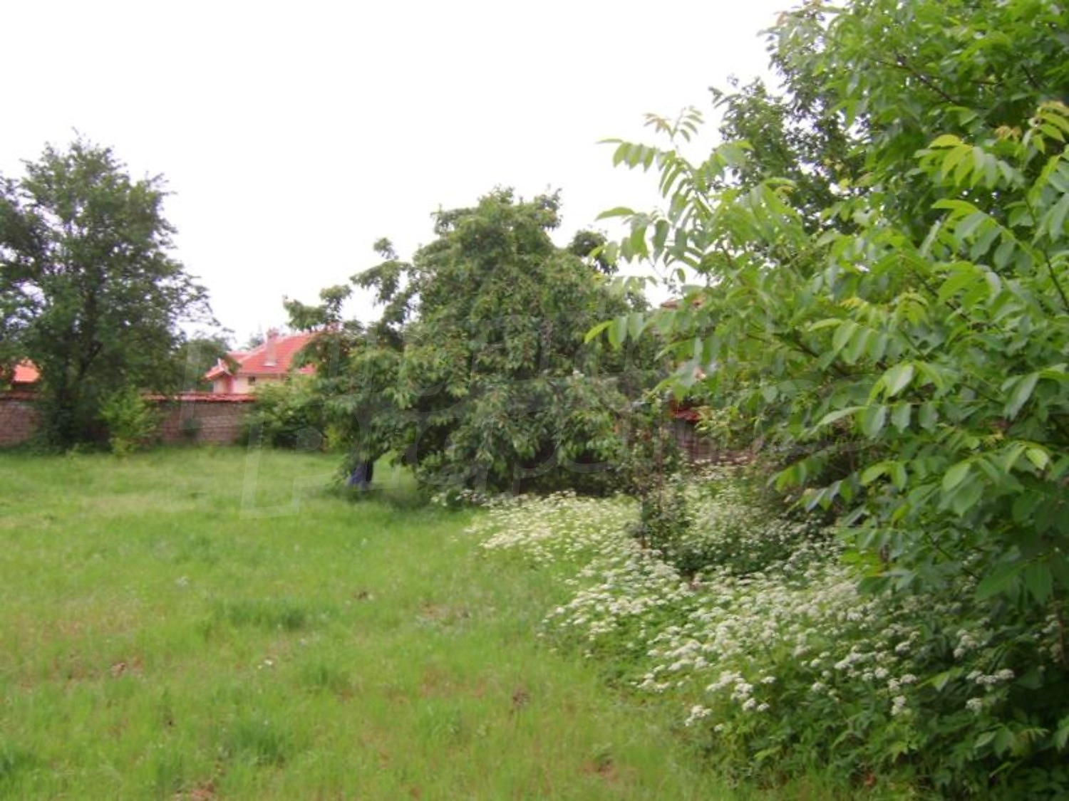 Gallery Picture 31
