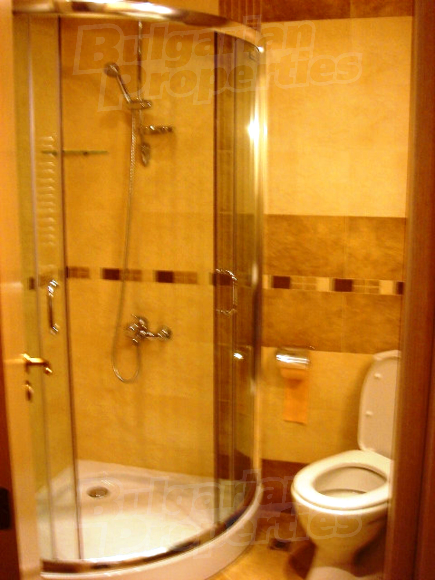 Gallery Picture 10