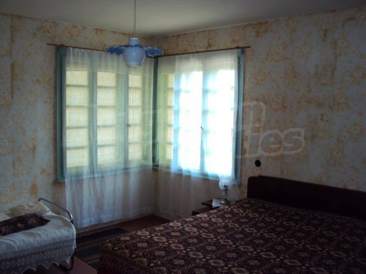Gallery Picture 13