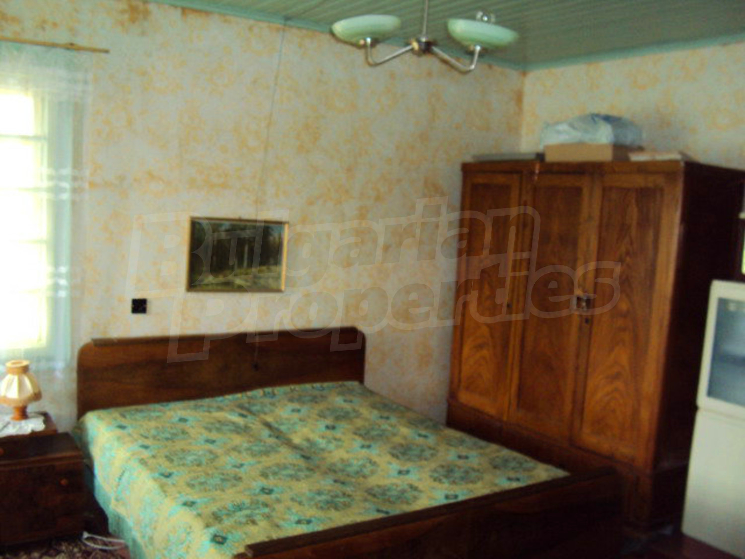 Gallery Picture 14
