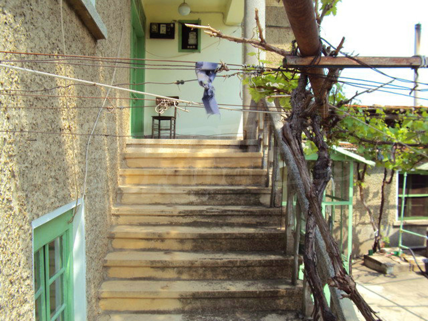 Gallery Picture 17