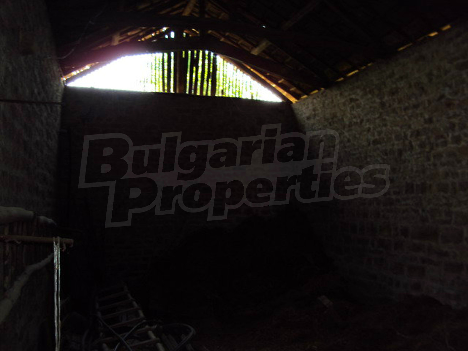 Gallery Picture 28