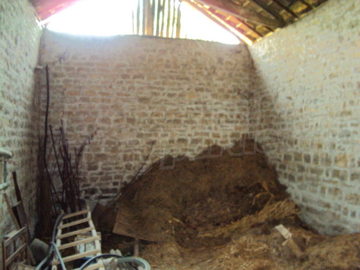 Gallery Picture 29