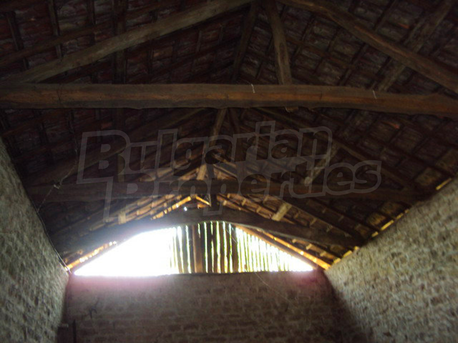 Gallery Picture 30