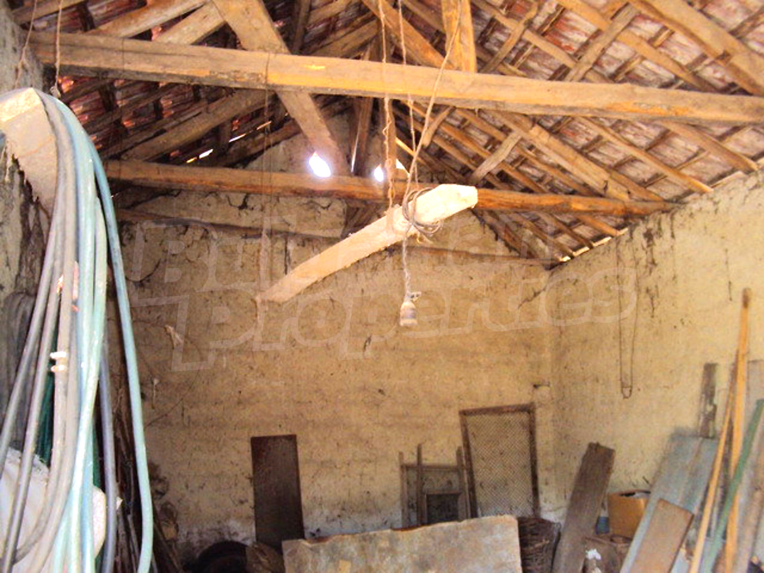 Gallery Picture 19