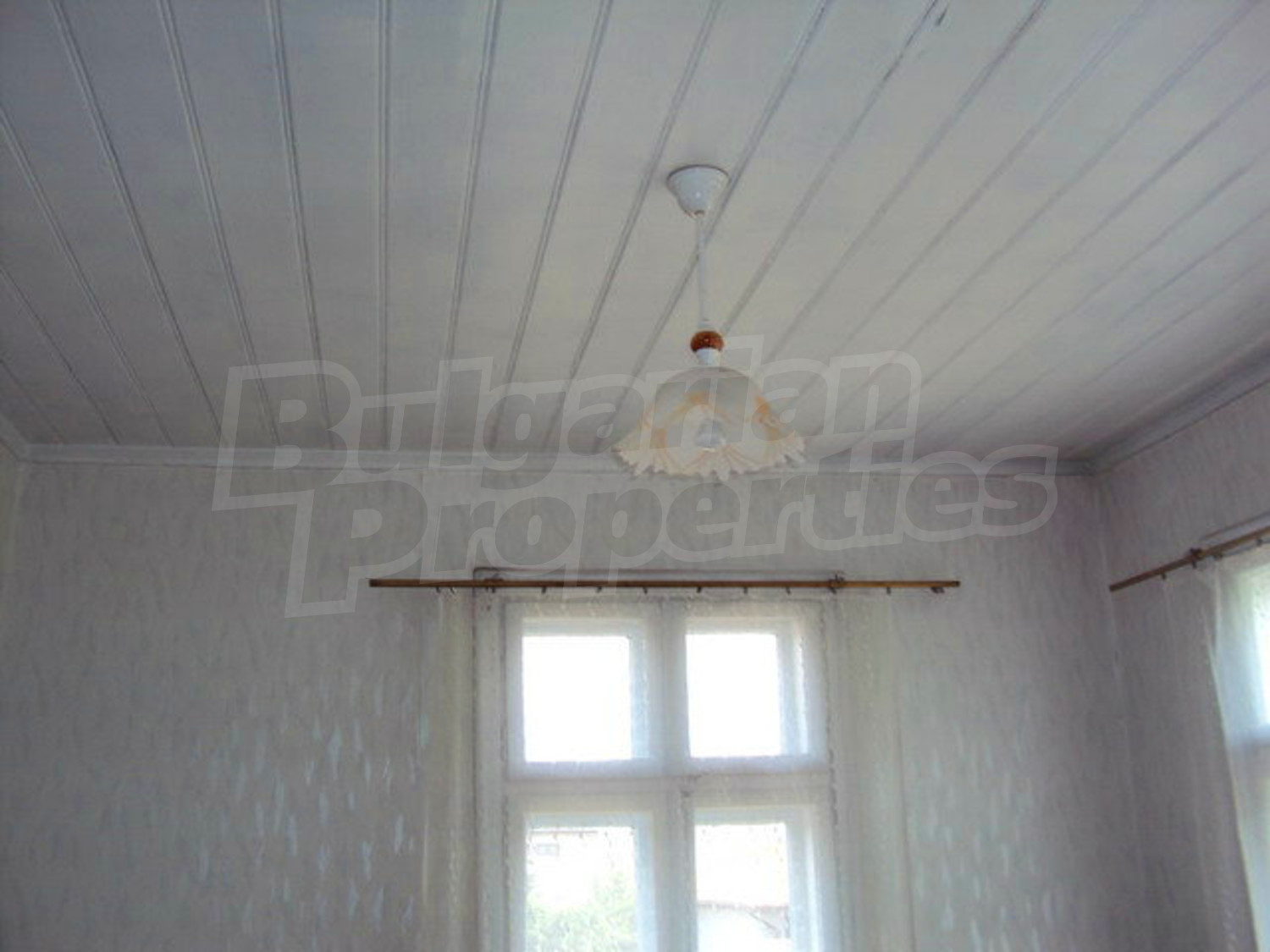 Gallery Picture 26