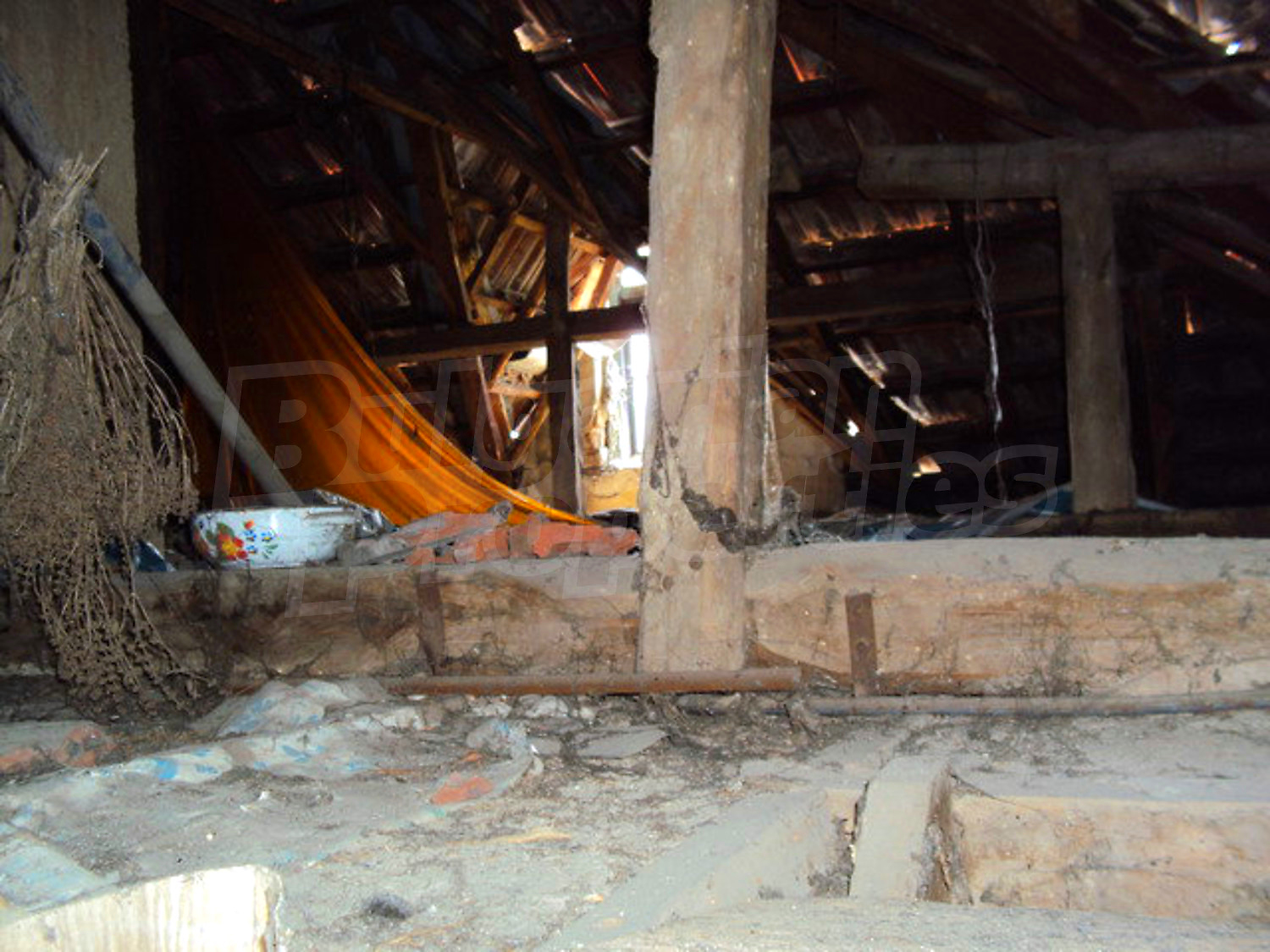 Gallery Picture 31