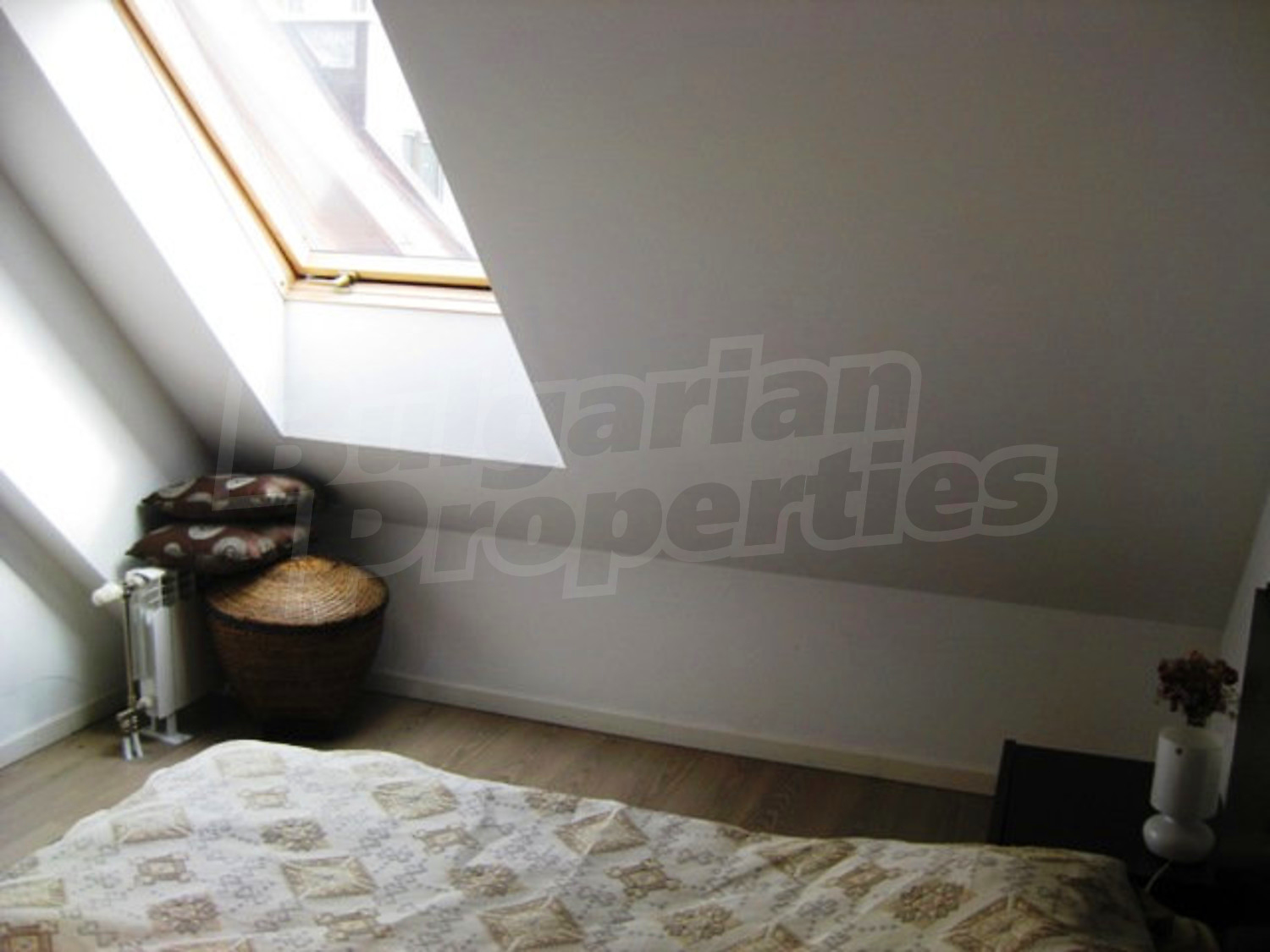 Gallery Picture 14