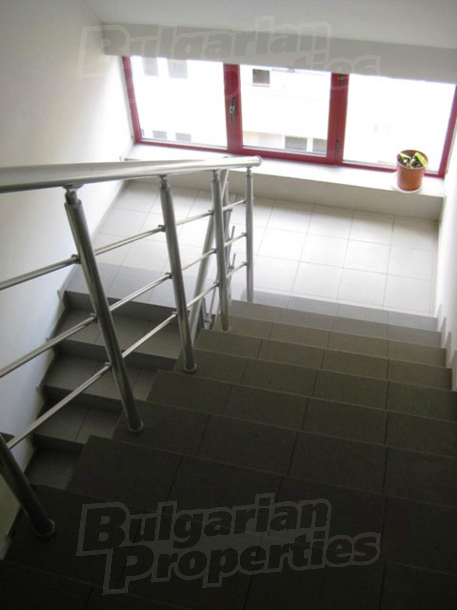 Gallery Picture 37