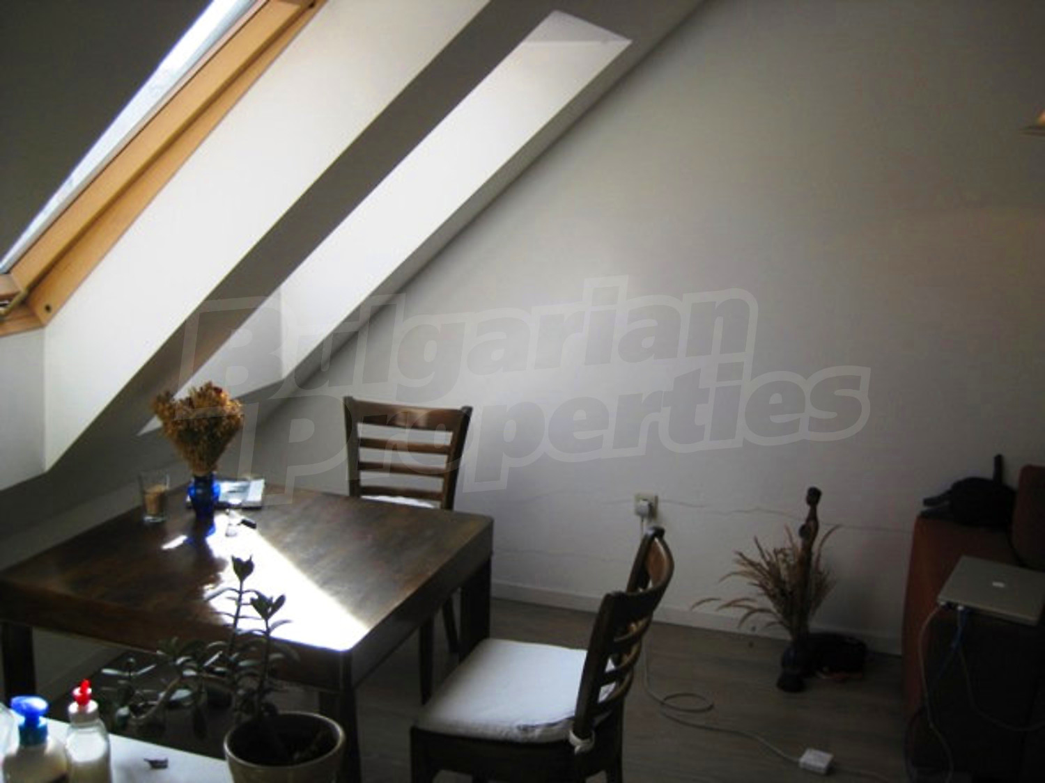Gallery Picture 4