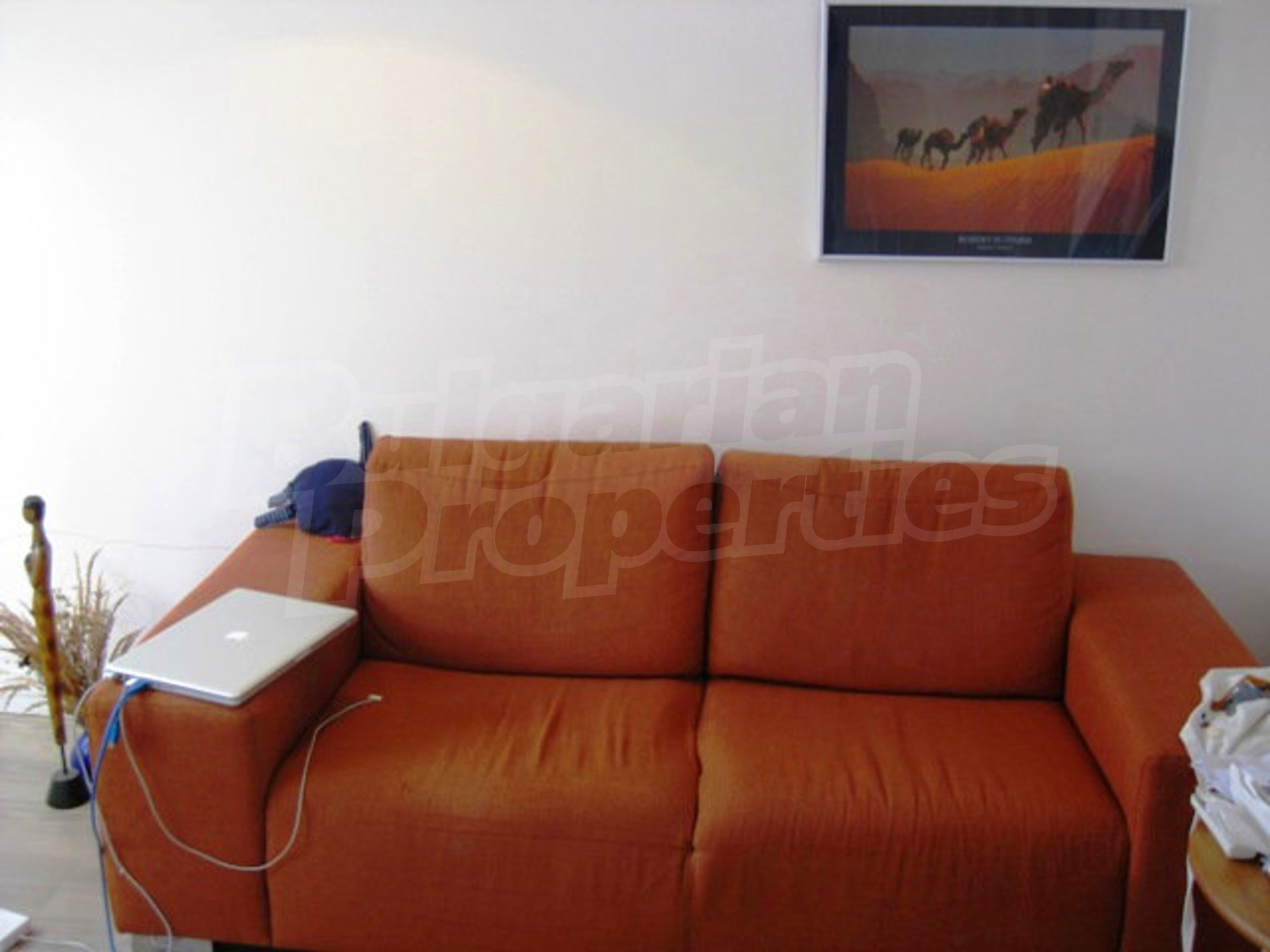 Gallery Picture 5