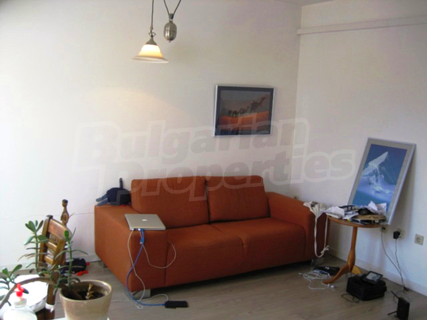 Gallery Picture 6