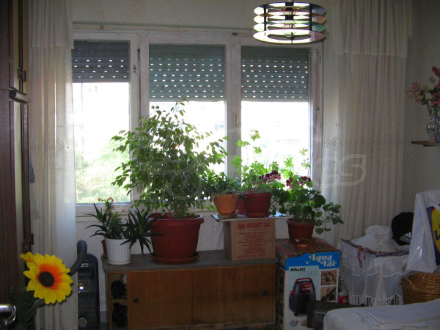Gallery Picture 5