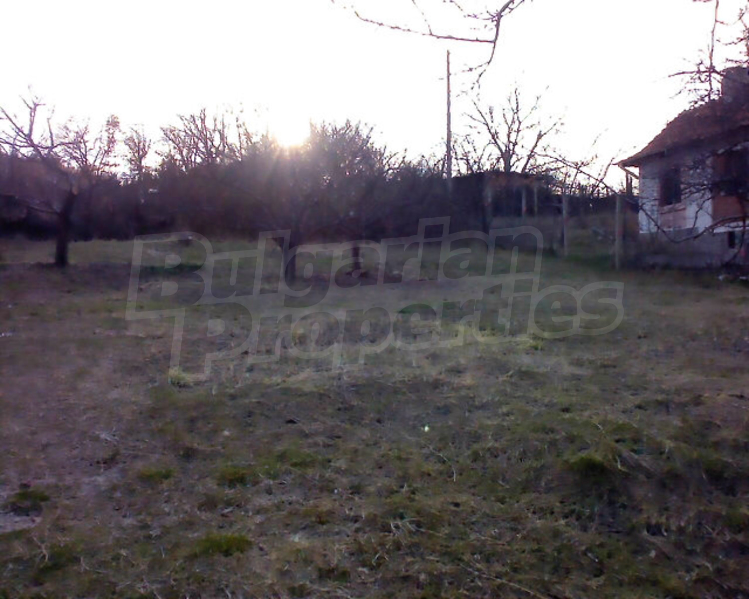 Gallery Picture 11
