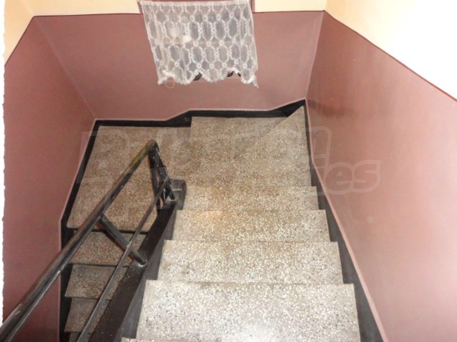 Gallery Picture 10