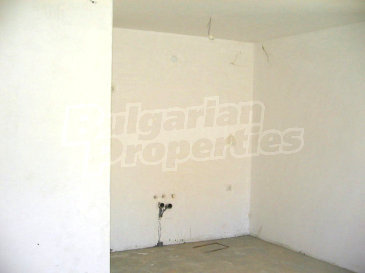 Gallery Picture 5