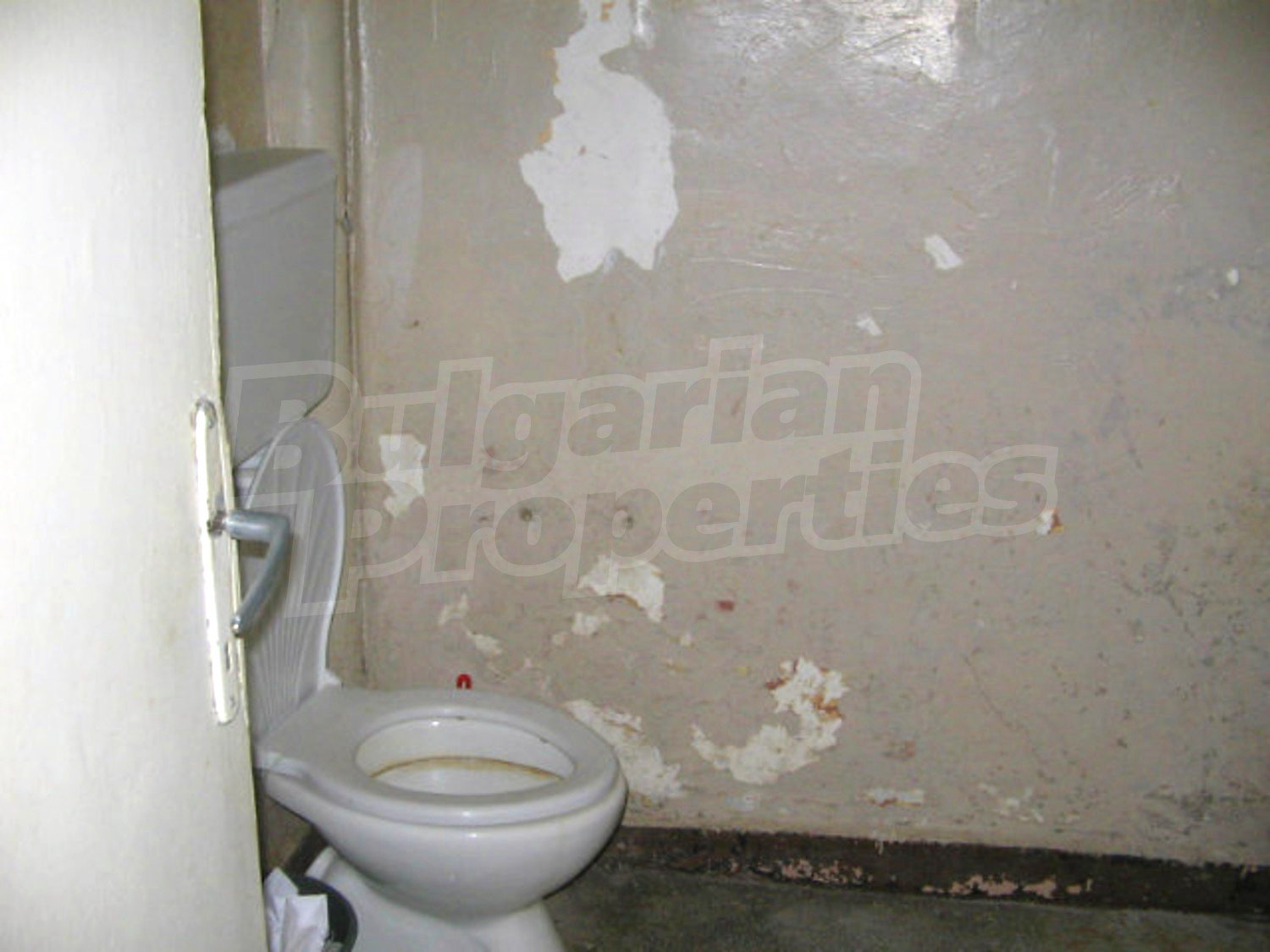 Gallery Picture 3