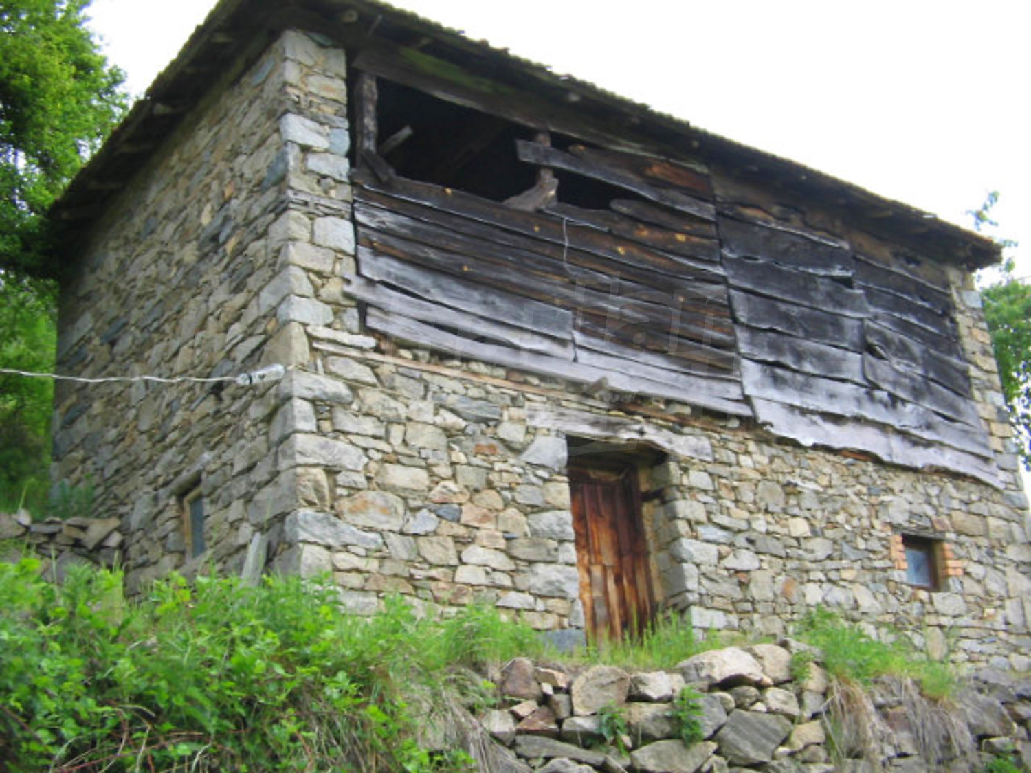 Gallery Picture 10