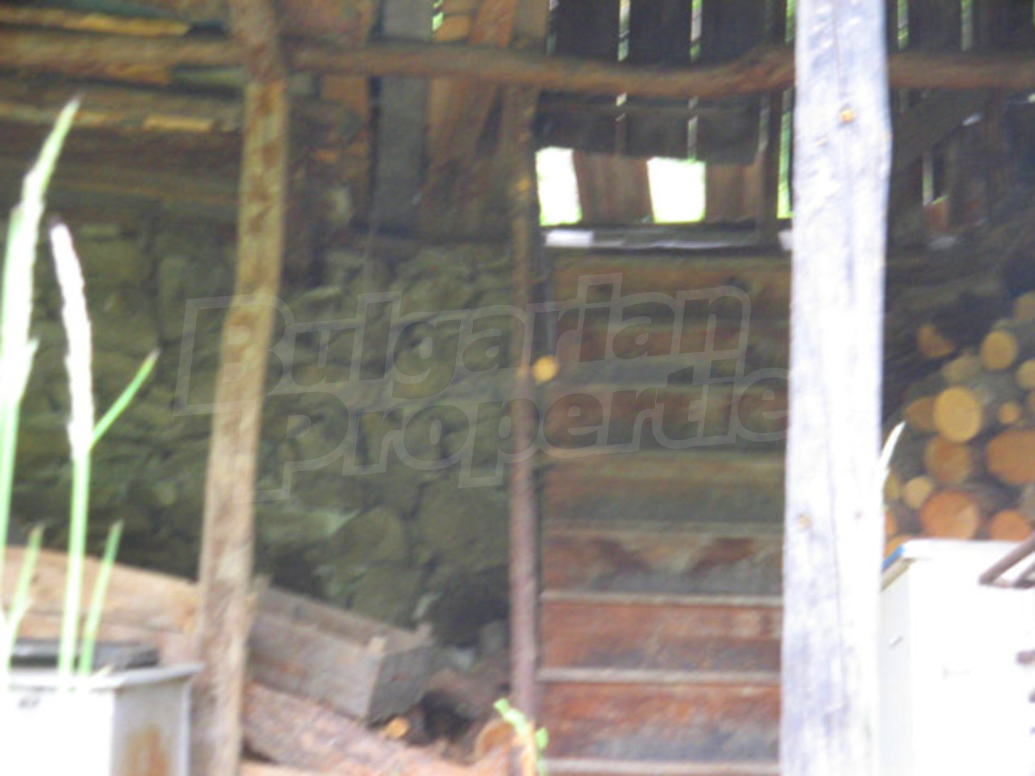Gallery Picture 14