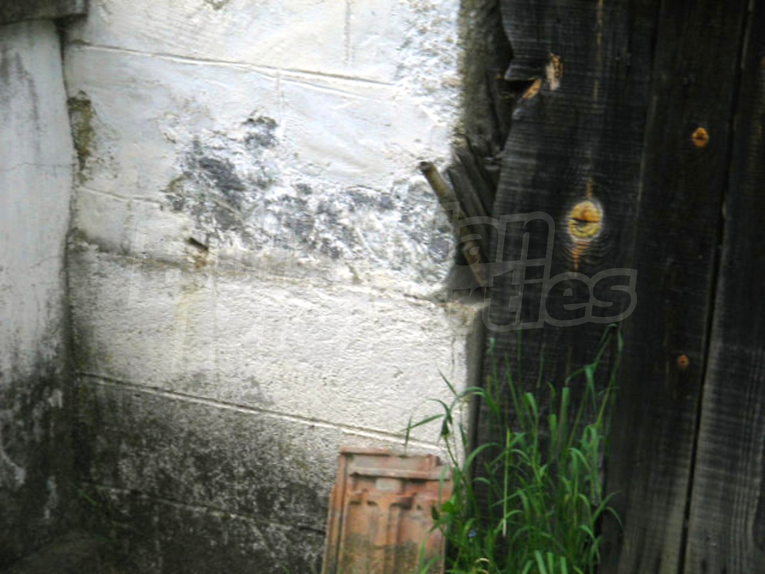 Gallery Picture 17