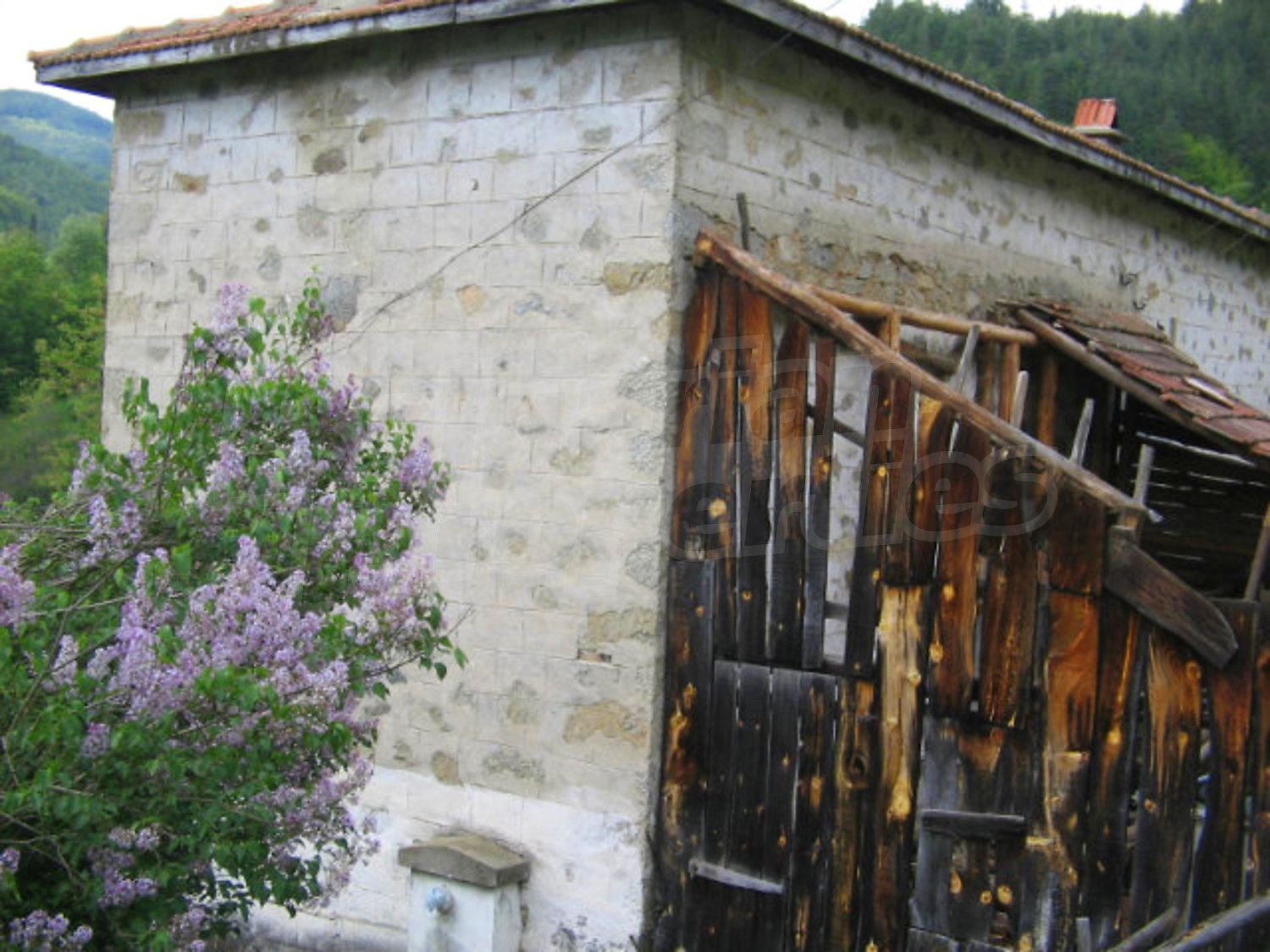 Gallery Picture 18