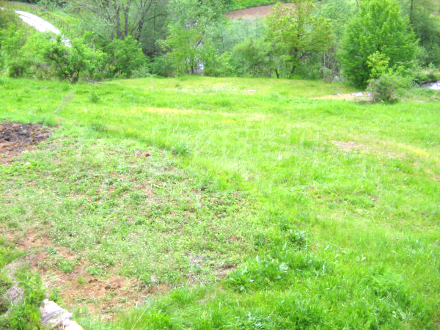 Gallery Picture 26