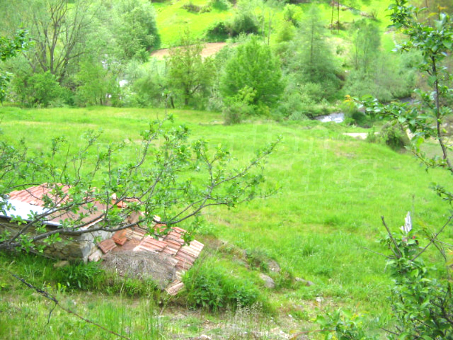 Gallery Picture 5