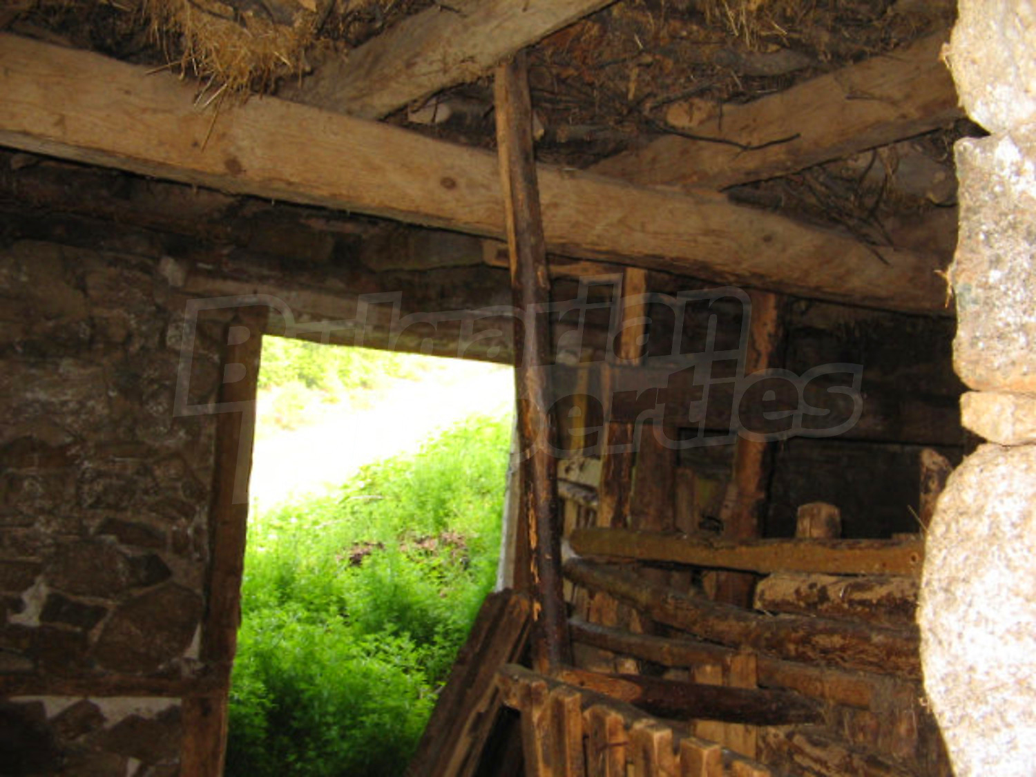 Gallery Picture 9