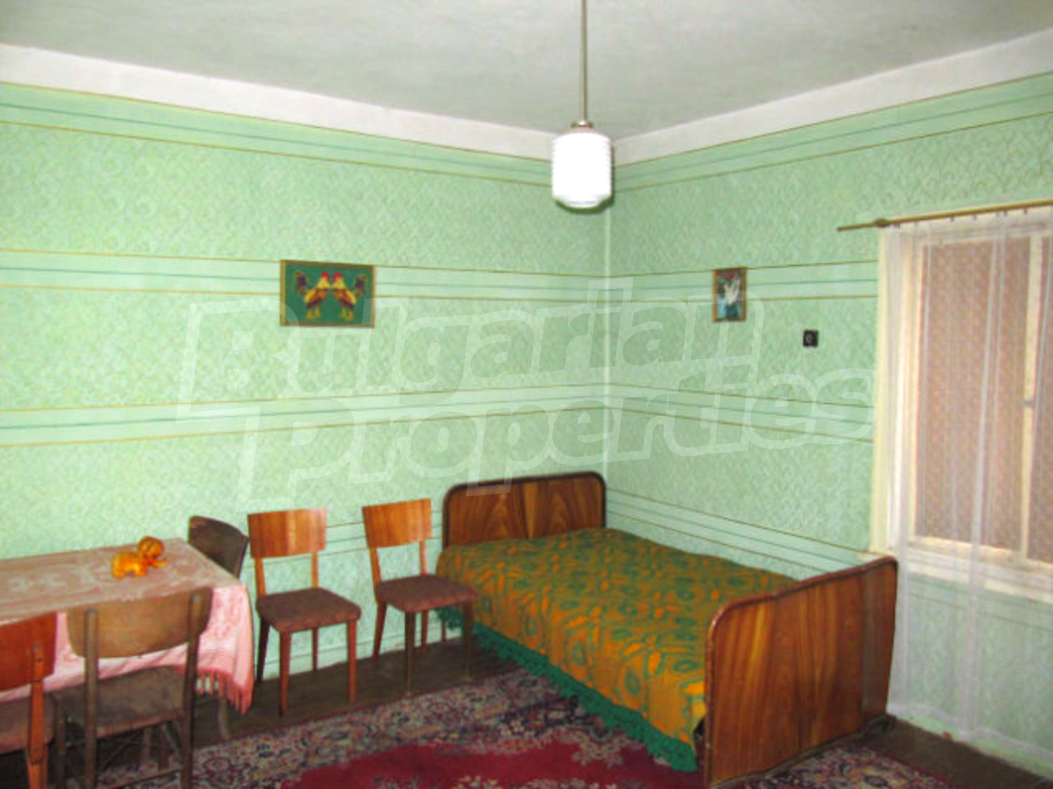 Gallery Picture 12
