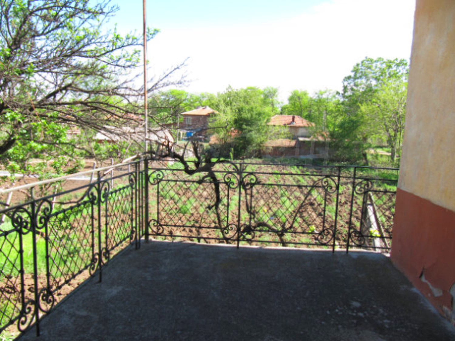 Gallery Picture 16