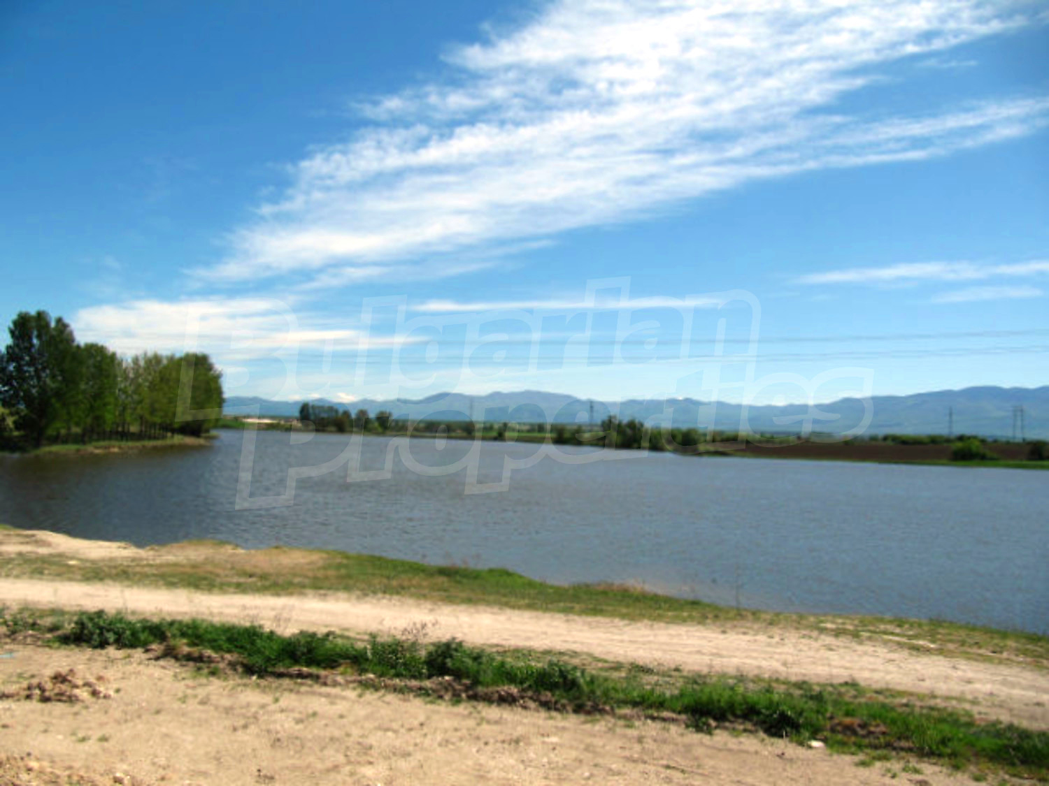 Gallery Picture 35