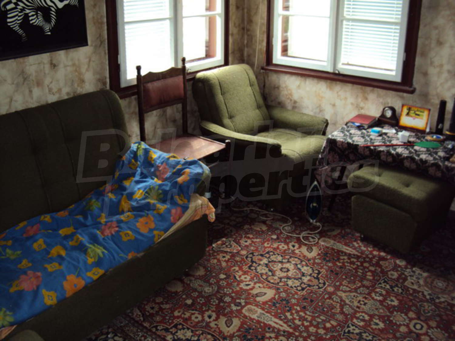Gallery Picture 31