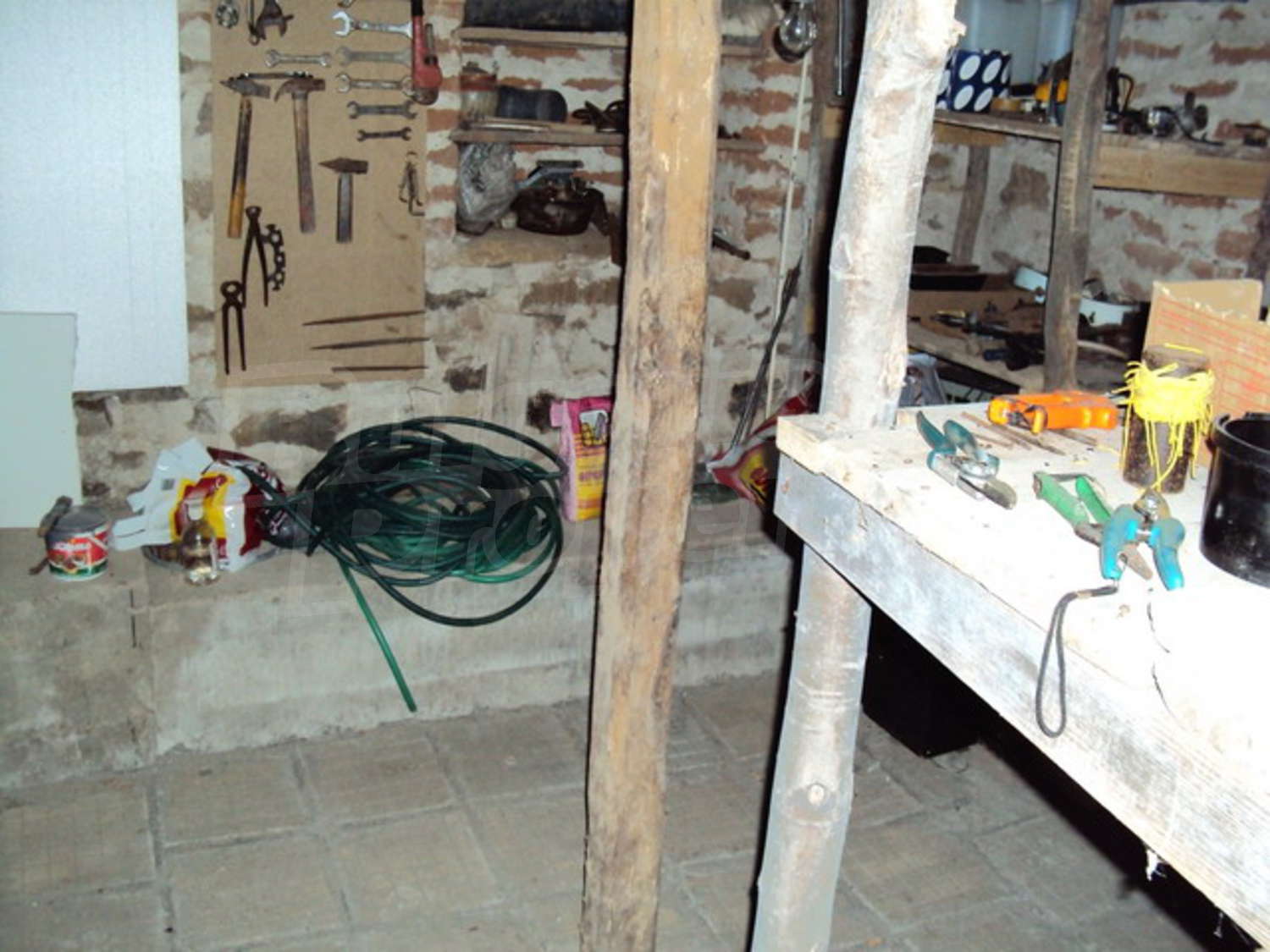 Gallery Picture 37
