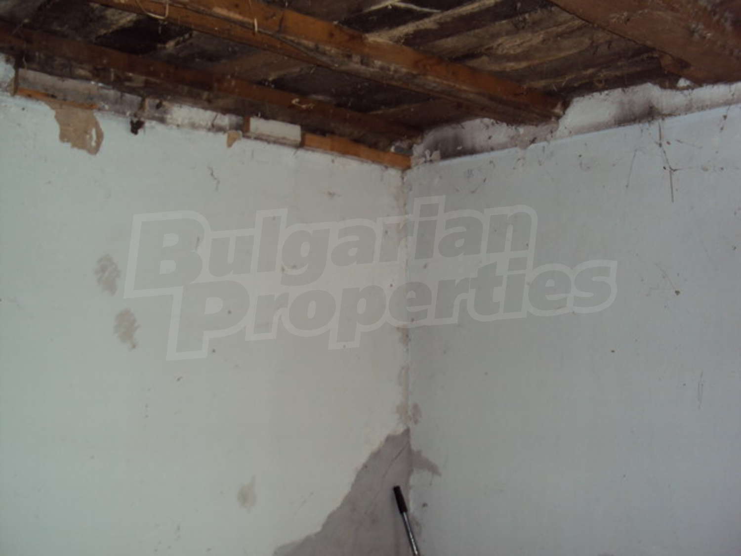 Gallery Picture 38