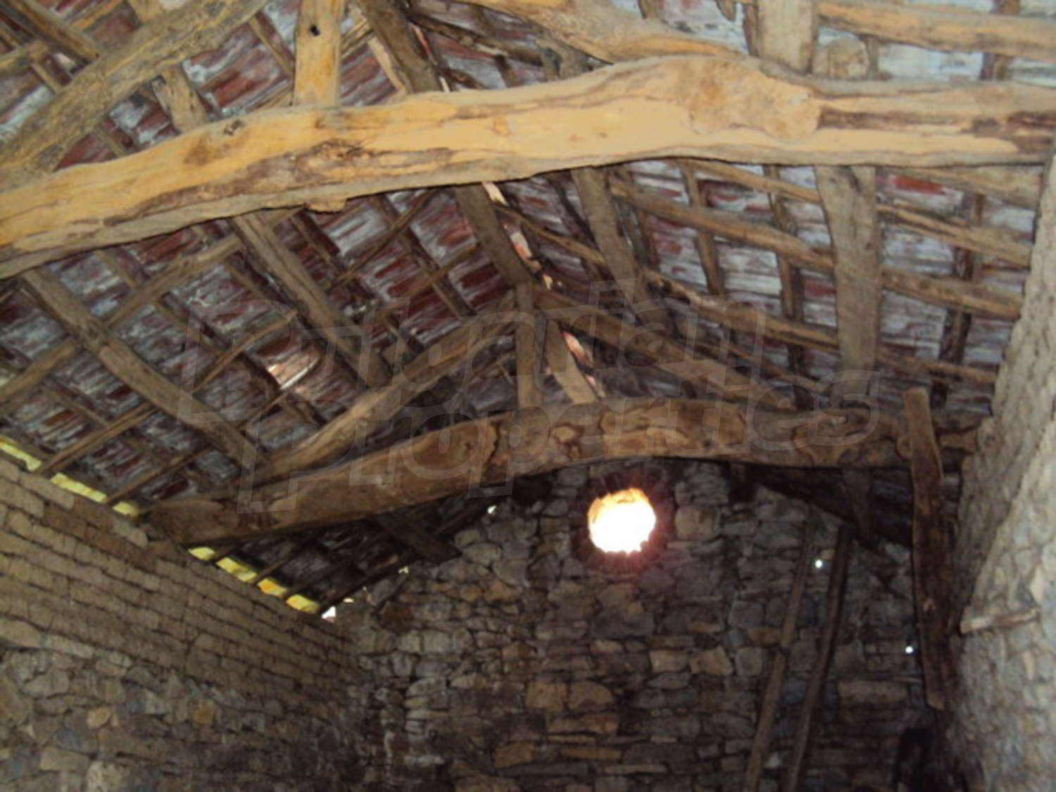 Gallery Picture 44