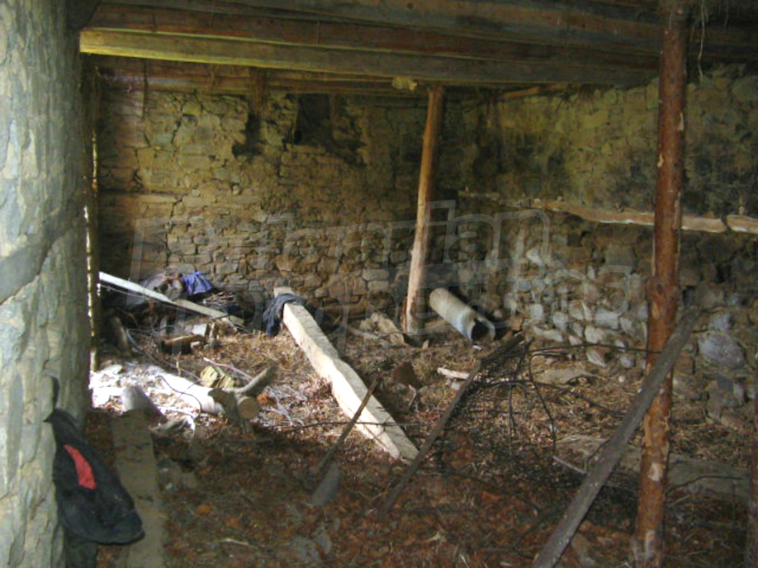 Gallery Picture 5