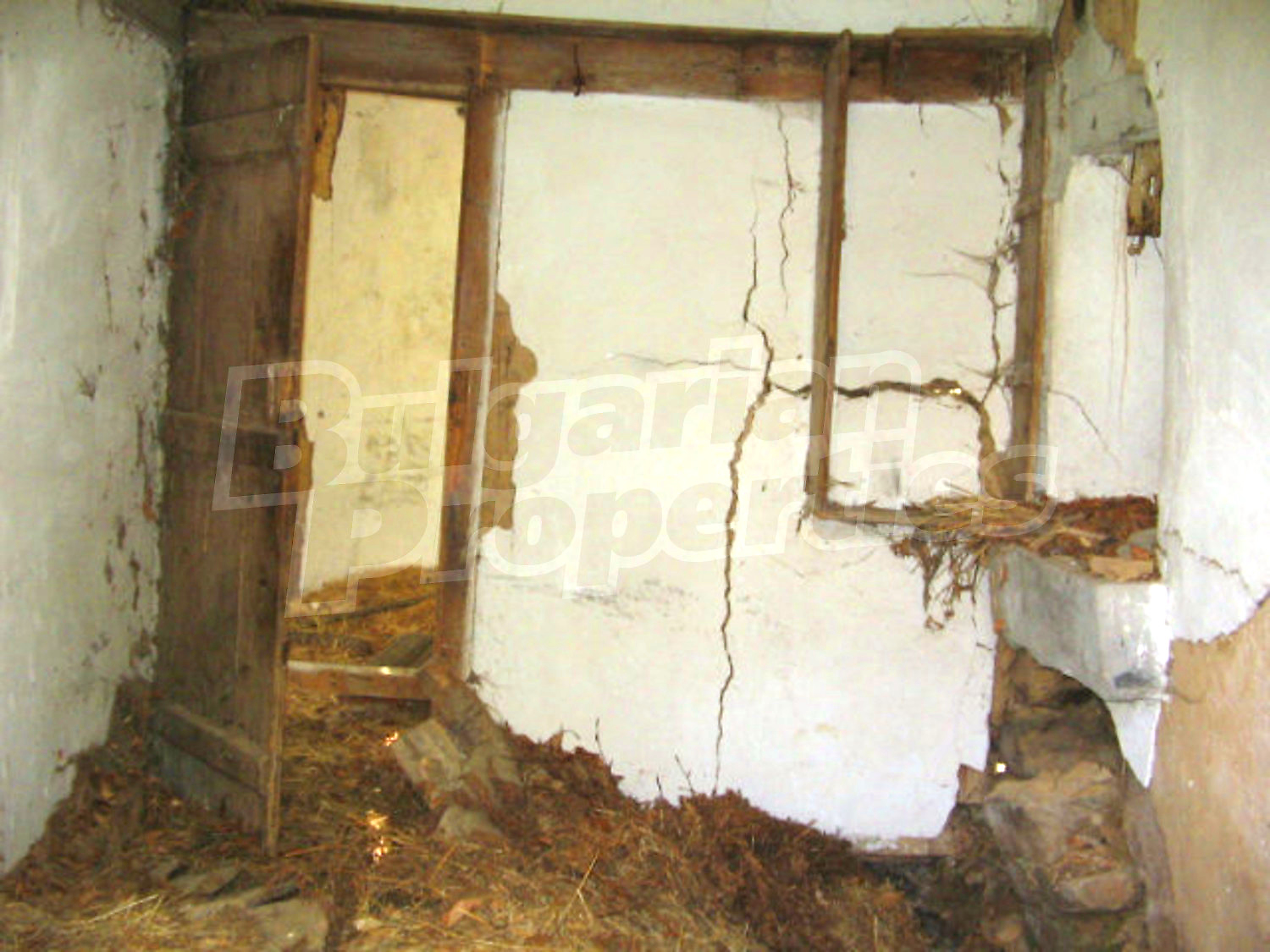Gallery Picture 6