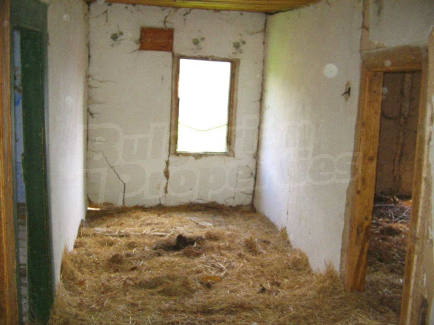 Gallery Picture 7