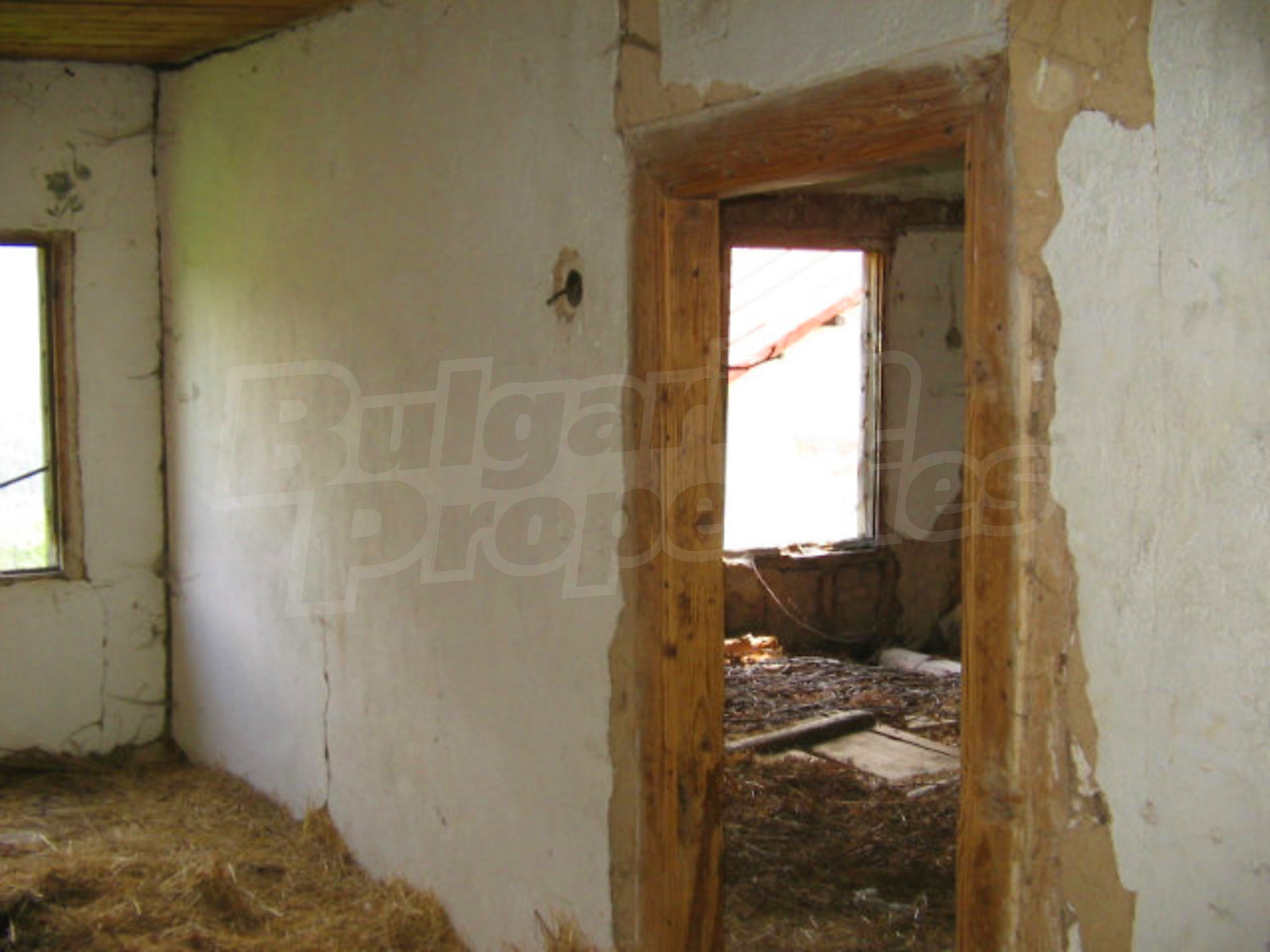 Gallery Picture 9