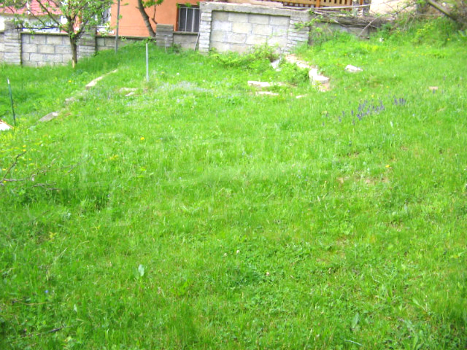 Gallery Picture 10