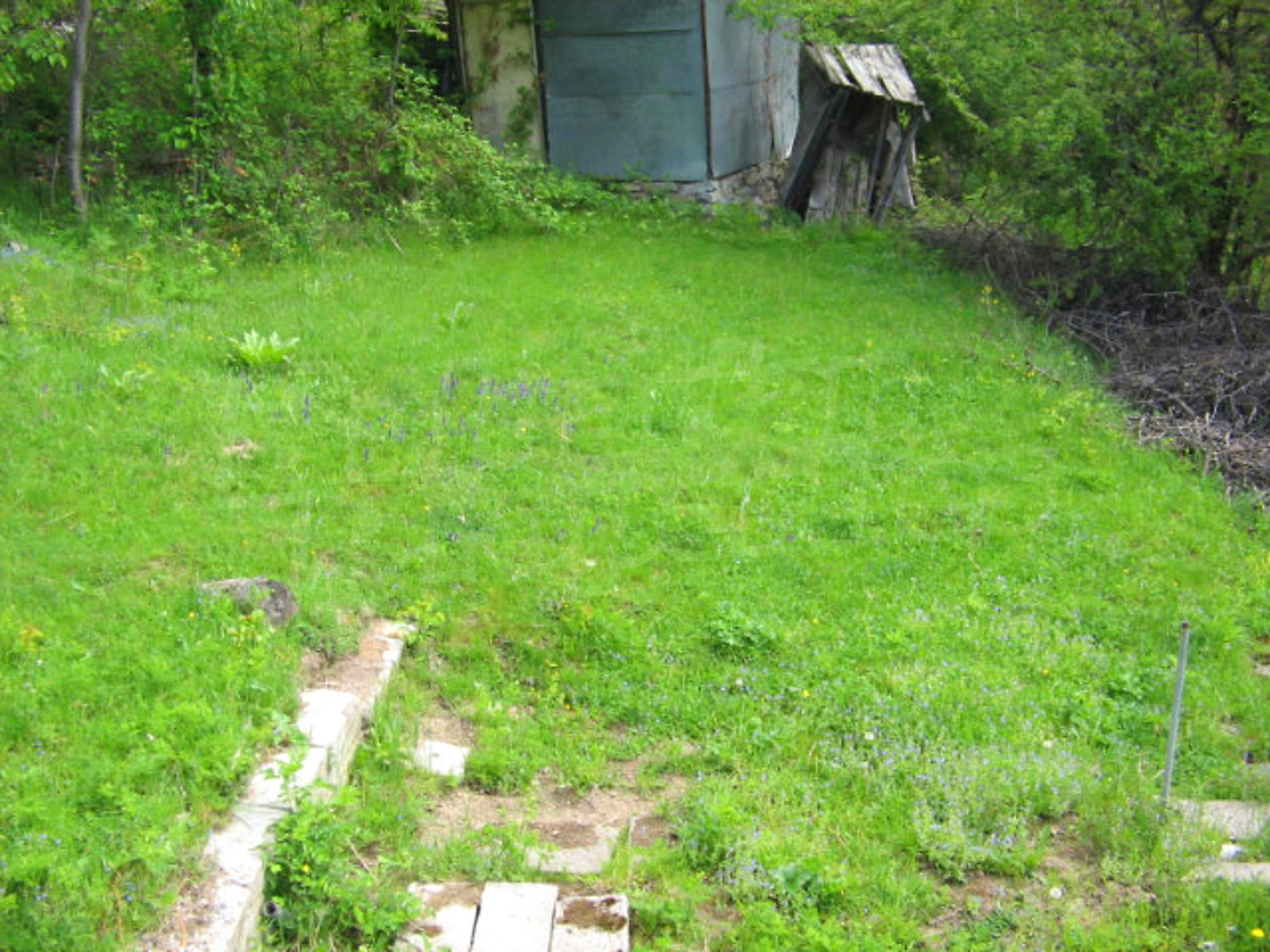 Gallery Picture 11