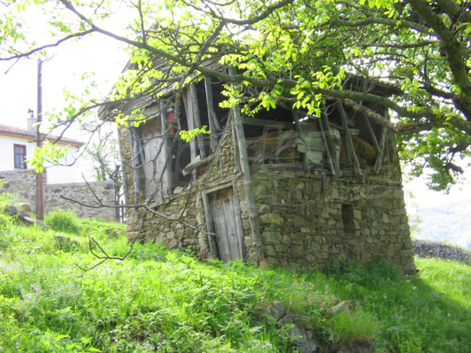 Gallery Picture 11