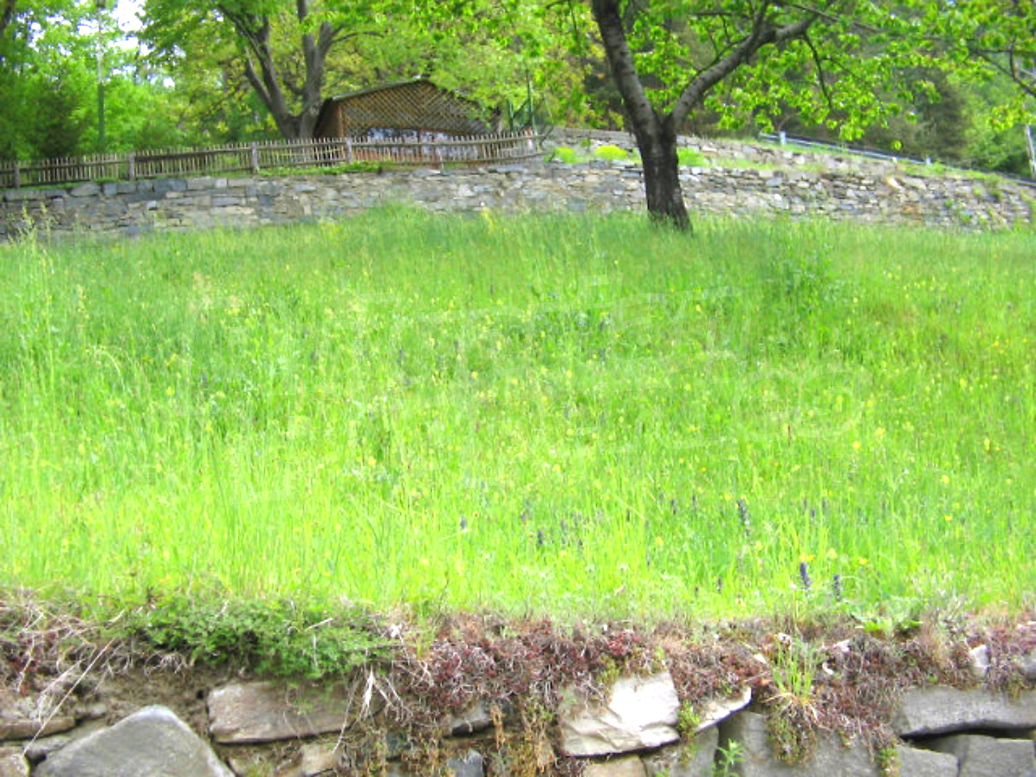 Gallery Picture 6