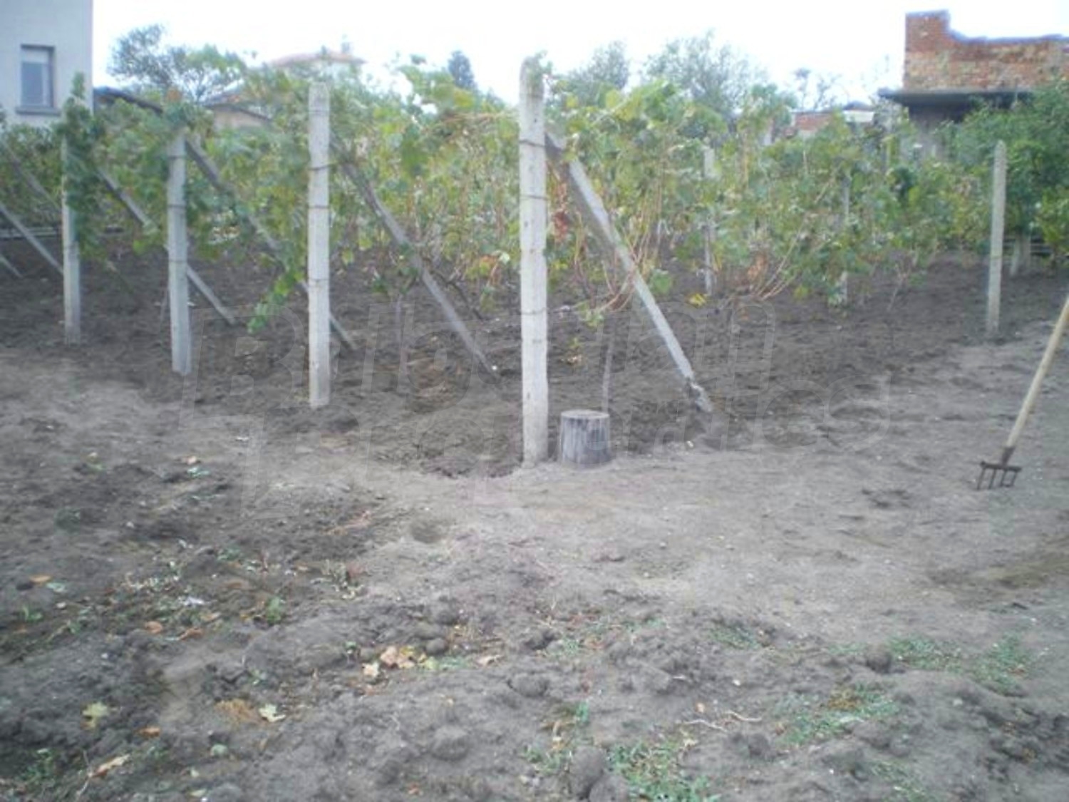 Gallery Picture 15